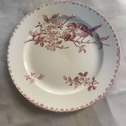 Flat plate model Favourite from Sarreguemines