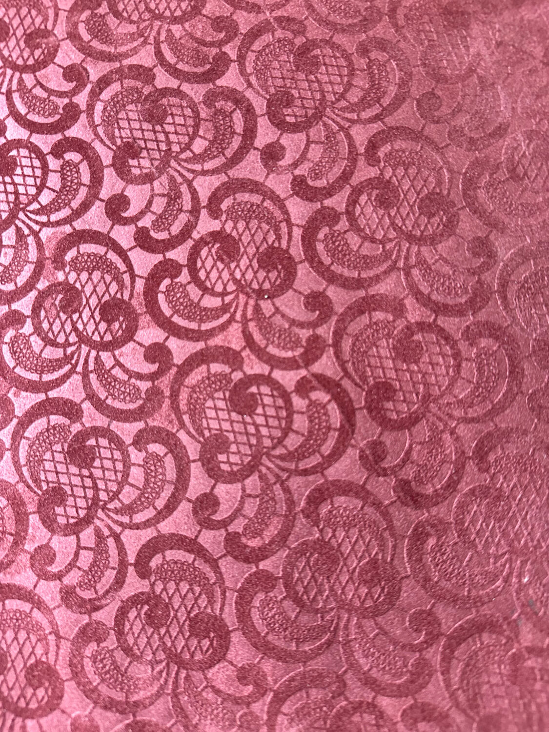 Antique illustration of a bird. Antique framed illustration of a bird.