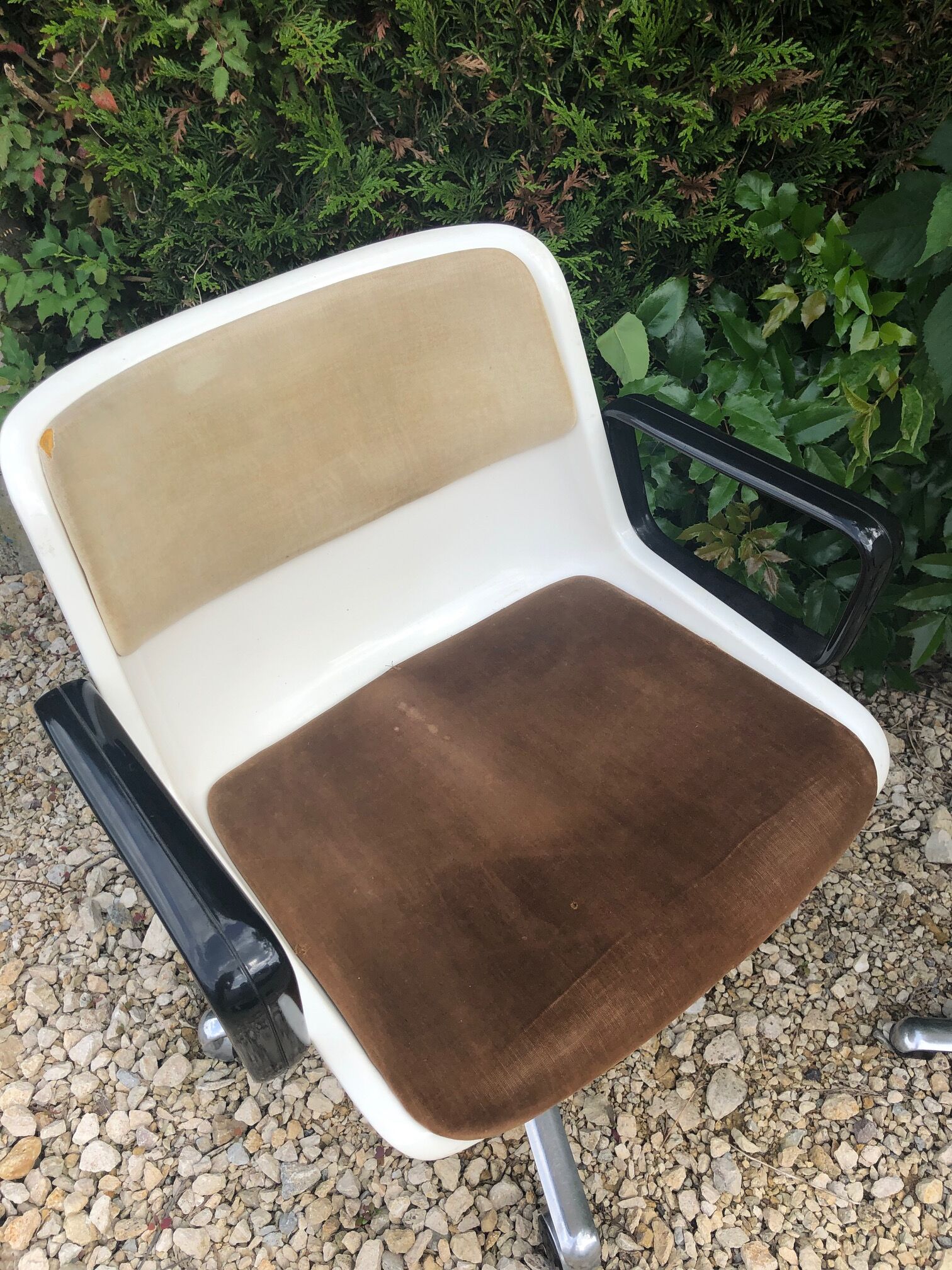 Pair of office chairs Modus Osvaldo Borsani edited by Tecno