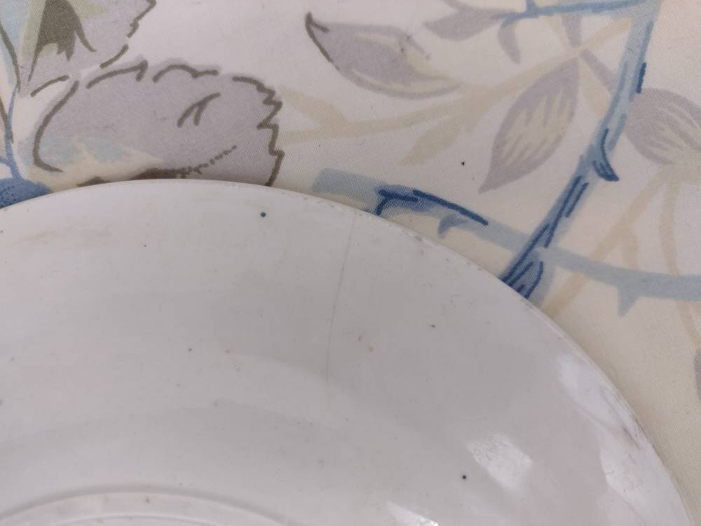 Set of 11 goldfinnets clairefontaine dessert plates