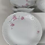 Limoges porcelain service