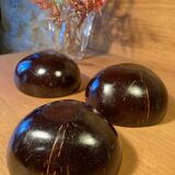Coconut bowls