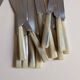 Set of 25 horn and stainless steel knives