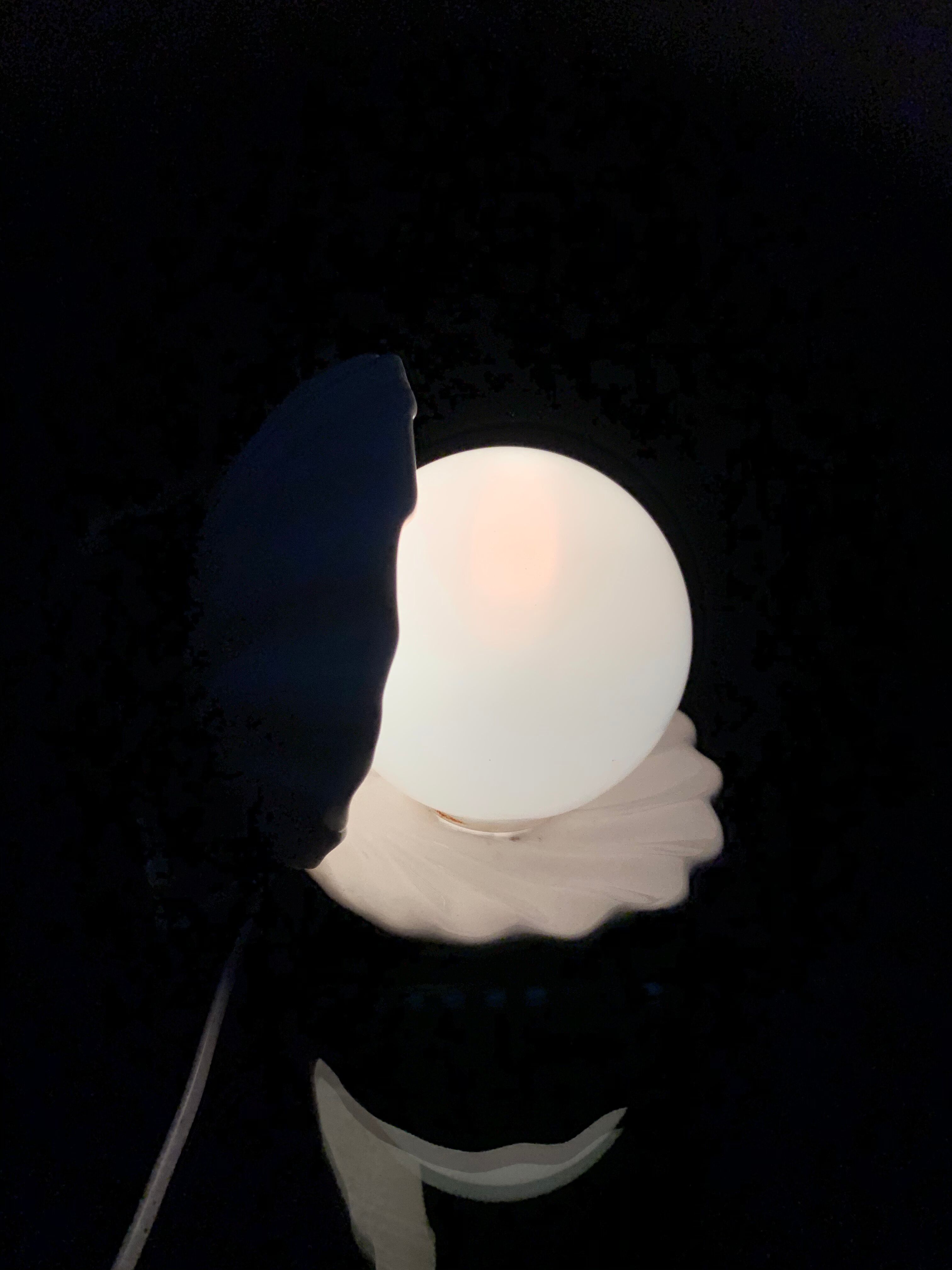 Vintage shell lamp, 1960