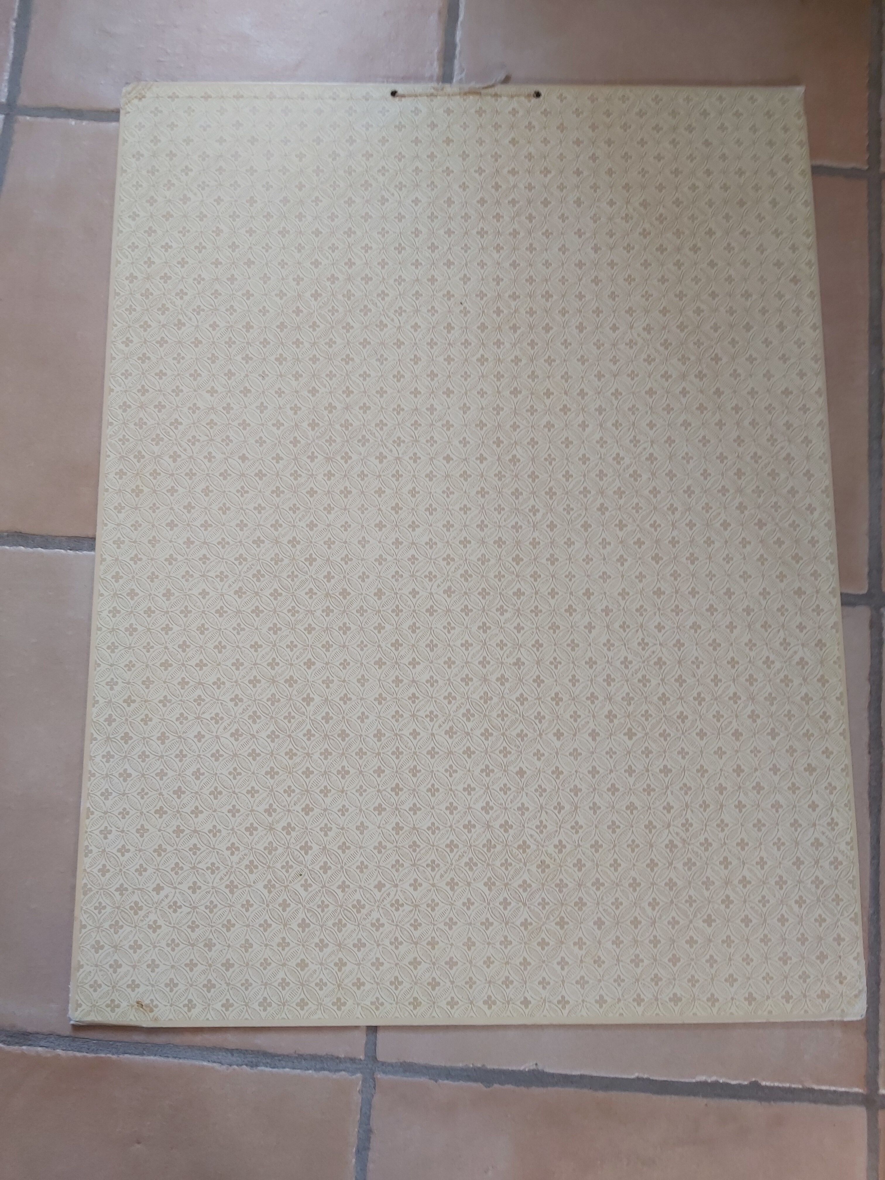 Vintage Deyrolle poster