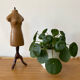 Former miniature sewing mannequin