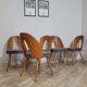 Chairs by Anotnin Suman Design Czechoslovakia, 1960