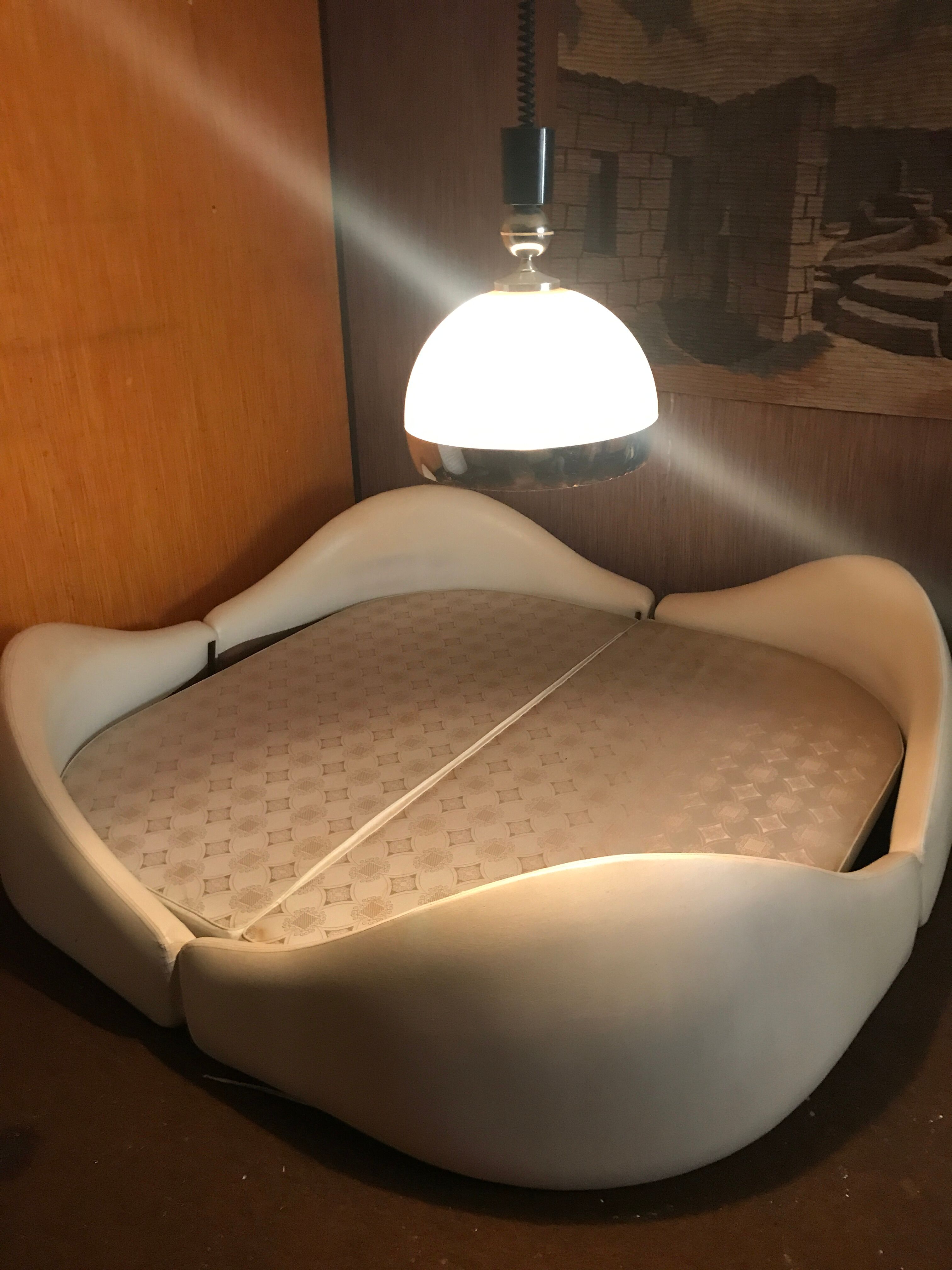 Anemone bed by Bernard Gauvin 1972