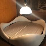 Anemone bed by Bernard Gauvin 1972