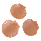 Scallop shell bowl
