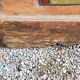 Alsatian polychrome wedding chest eighteenth -nineteenth century