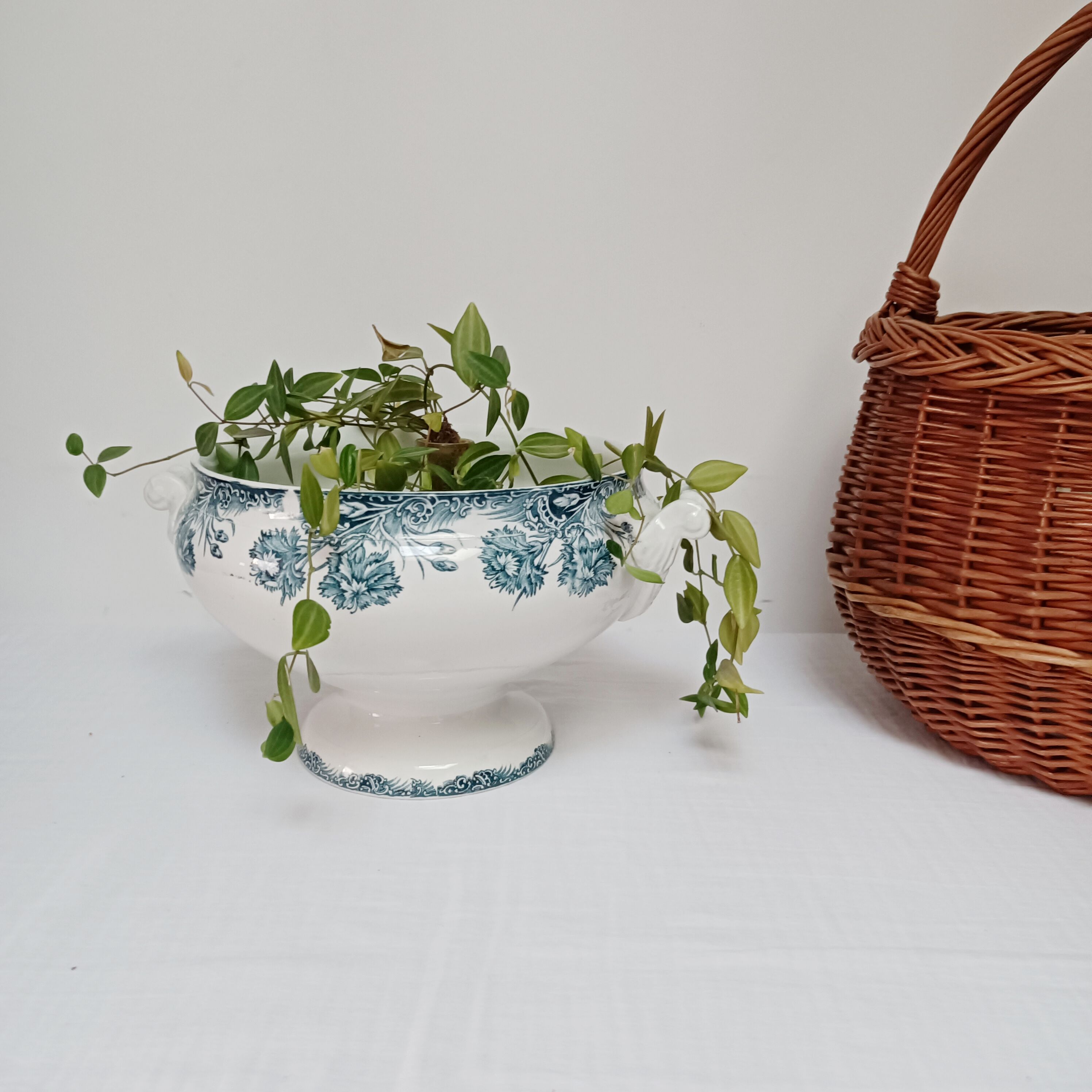 Iron earth soup tureen Saint-Amand, Carnations