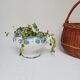 Iron earth soup tureen Saint-Amand, Carnations