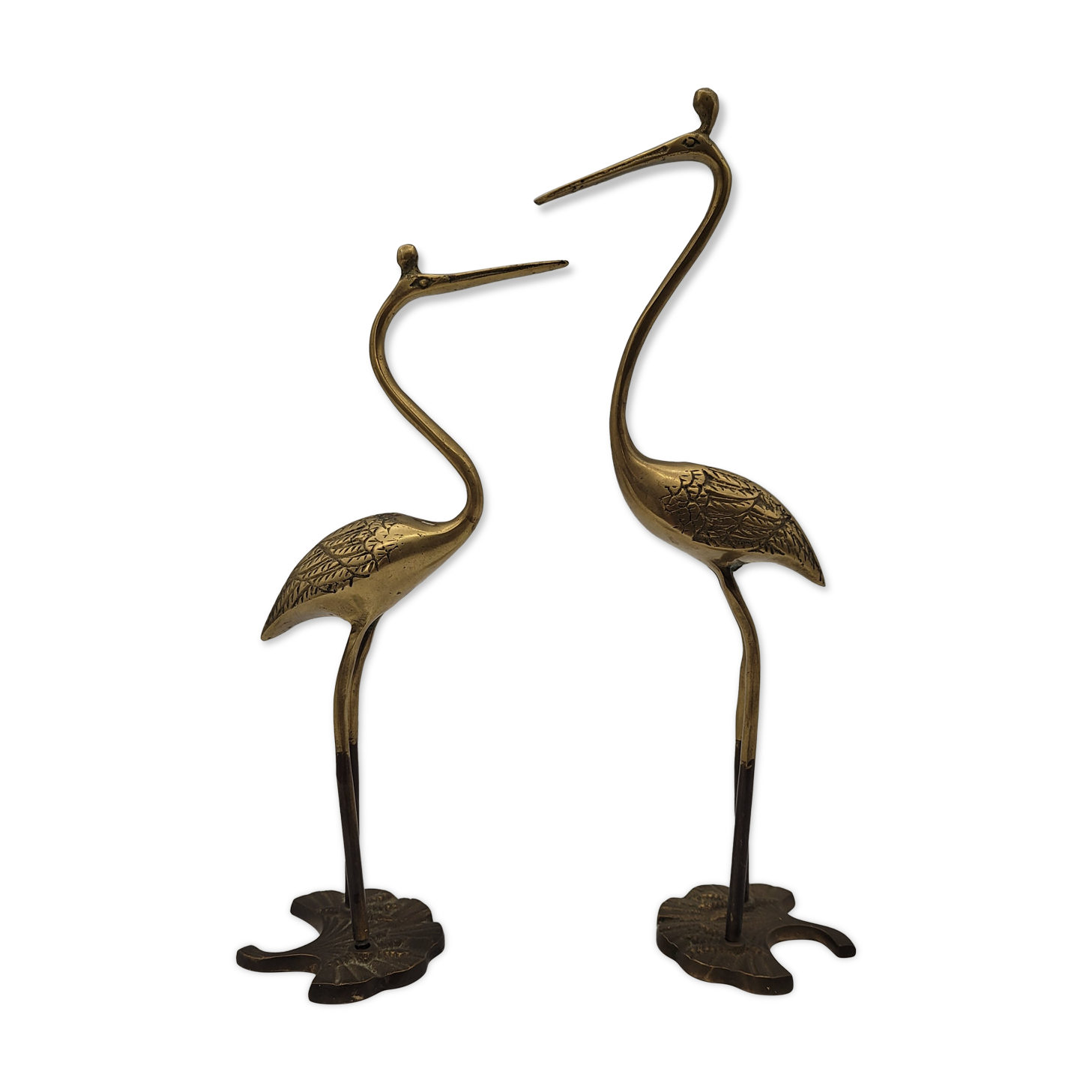 Duo ashy herons in brass
