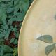 Large ancient wooden platter