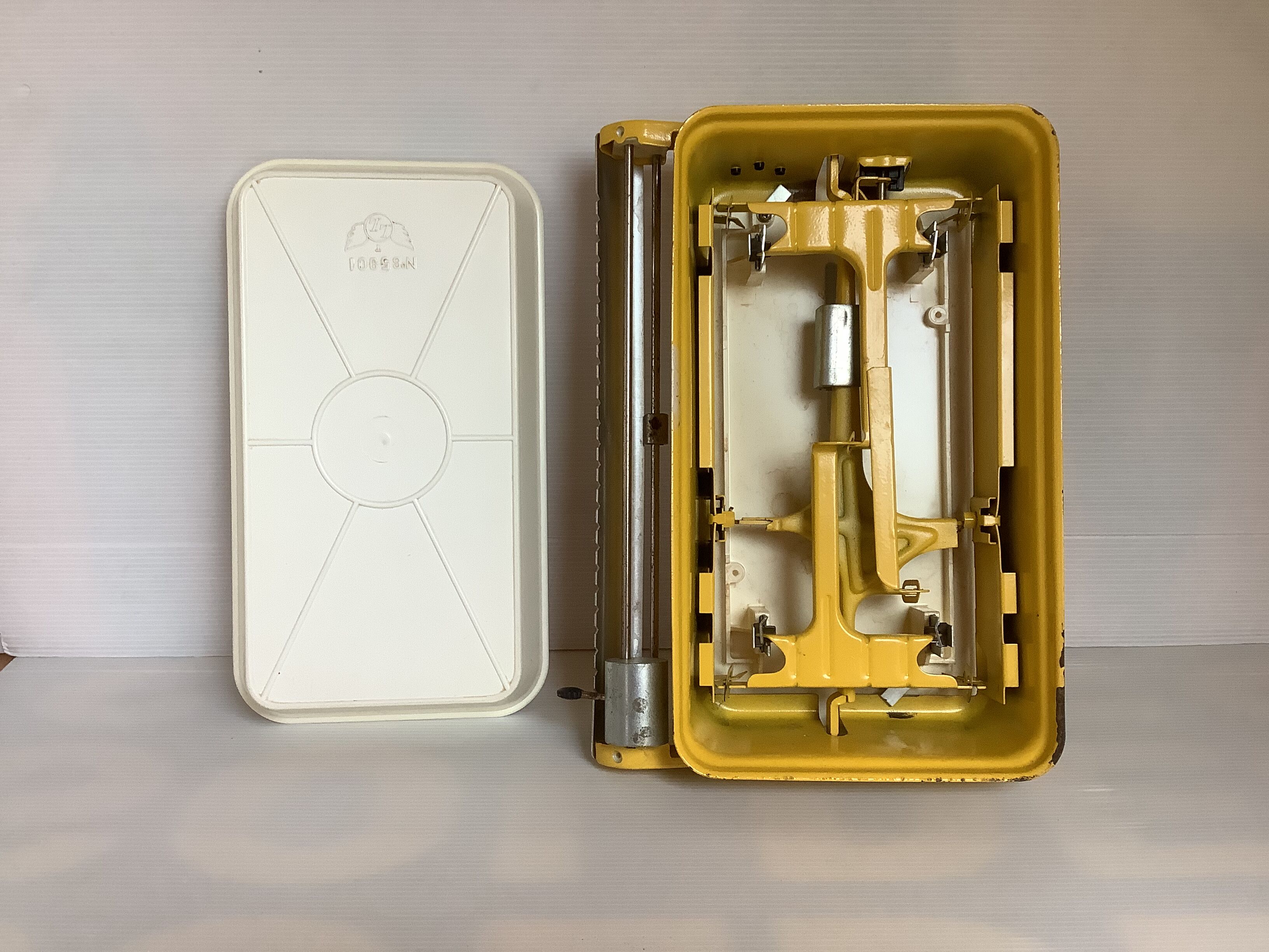 Old yellow scale
