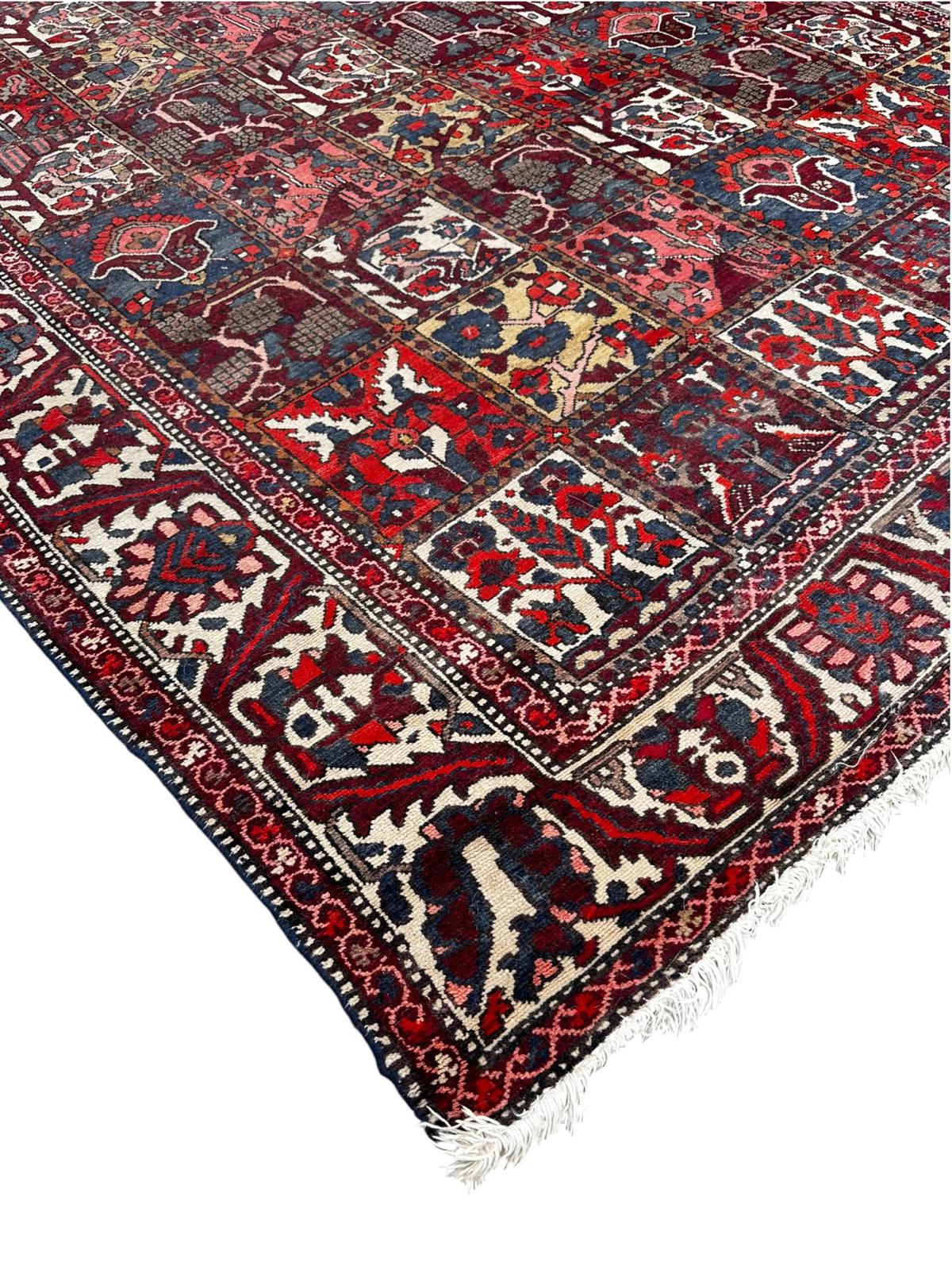 Bakhtiar carpet 230cm x 310cm