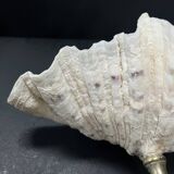 Shell-shaped trinket dish on a base