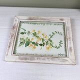 Painting “Honeysuckle”
