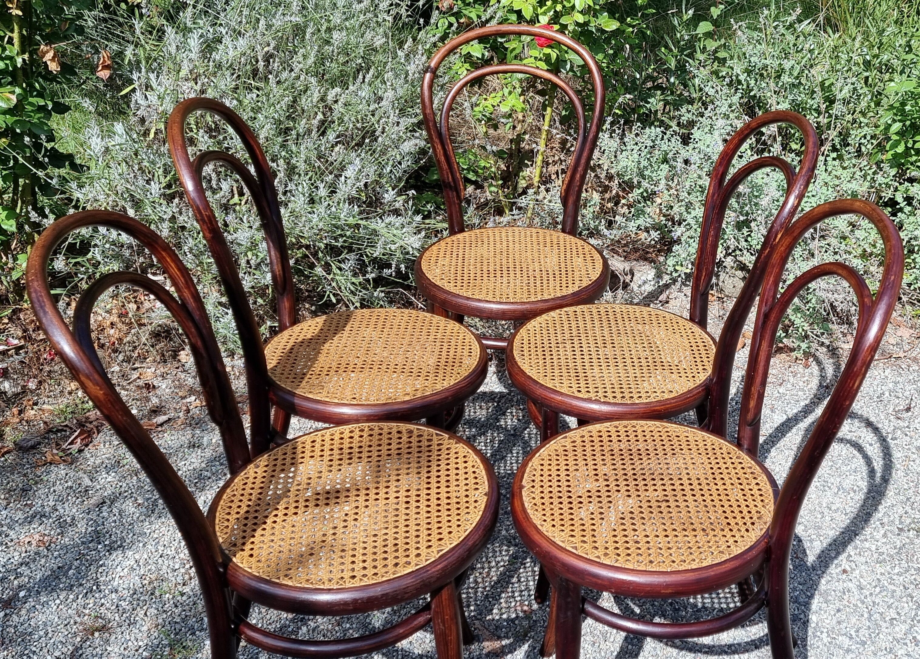 5 chaises Thonet n°14 de 1875
