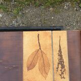 Table basse en céramique aux herbiers de style Roger Capron