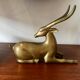 Gazelle laiton