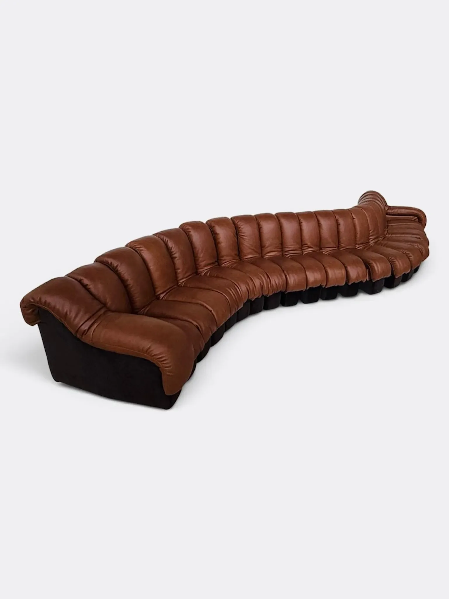 De Sede Ds600 Snake in cognac leather, 20 elements (in NEW CONDITION)!
