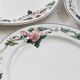 Flat plates 9 earthenware, model Palermo de Villeroy and Boch