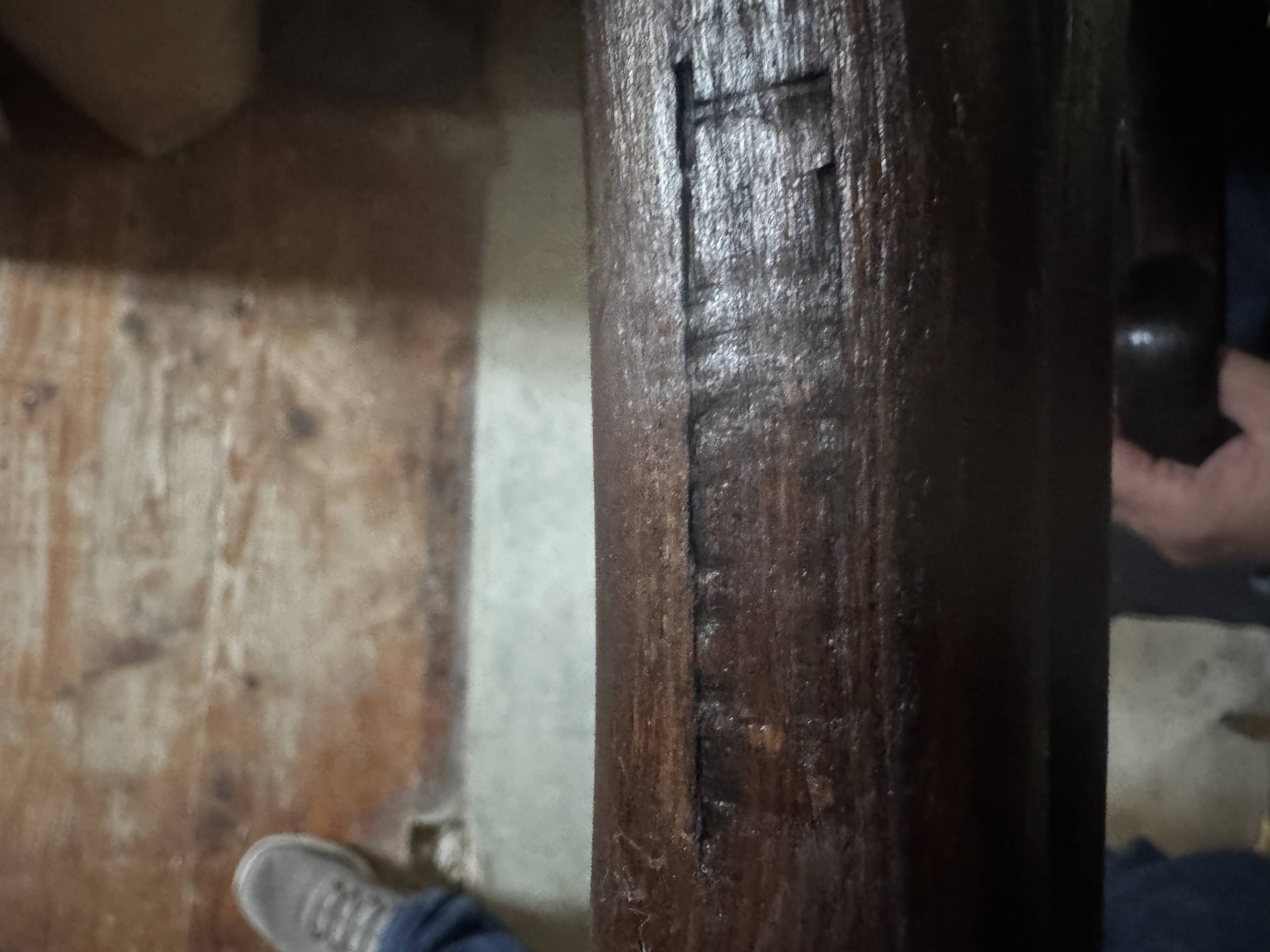 Portemanteau perroquet Thonet