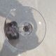 Baccarat crystal wine glass 12cl model Genova lined Amethyst 19.1cm