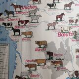 Vintage school map MDI France Rhône