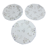 Set of 3 dessert plates o & eg royal austria barbeaux decor 1884-1918