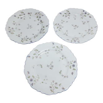 Set of 3 dessert plates o & eg royal austria barbeaux decor 1884-1918