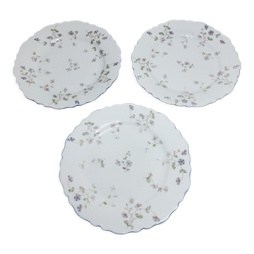 Lot de 3 assiettes à dessert o & eg royal austria décor aux barbeaux 1884-1918