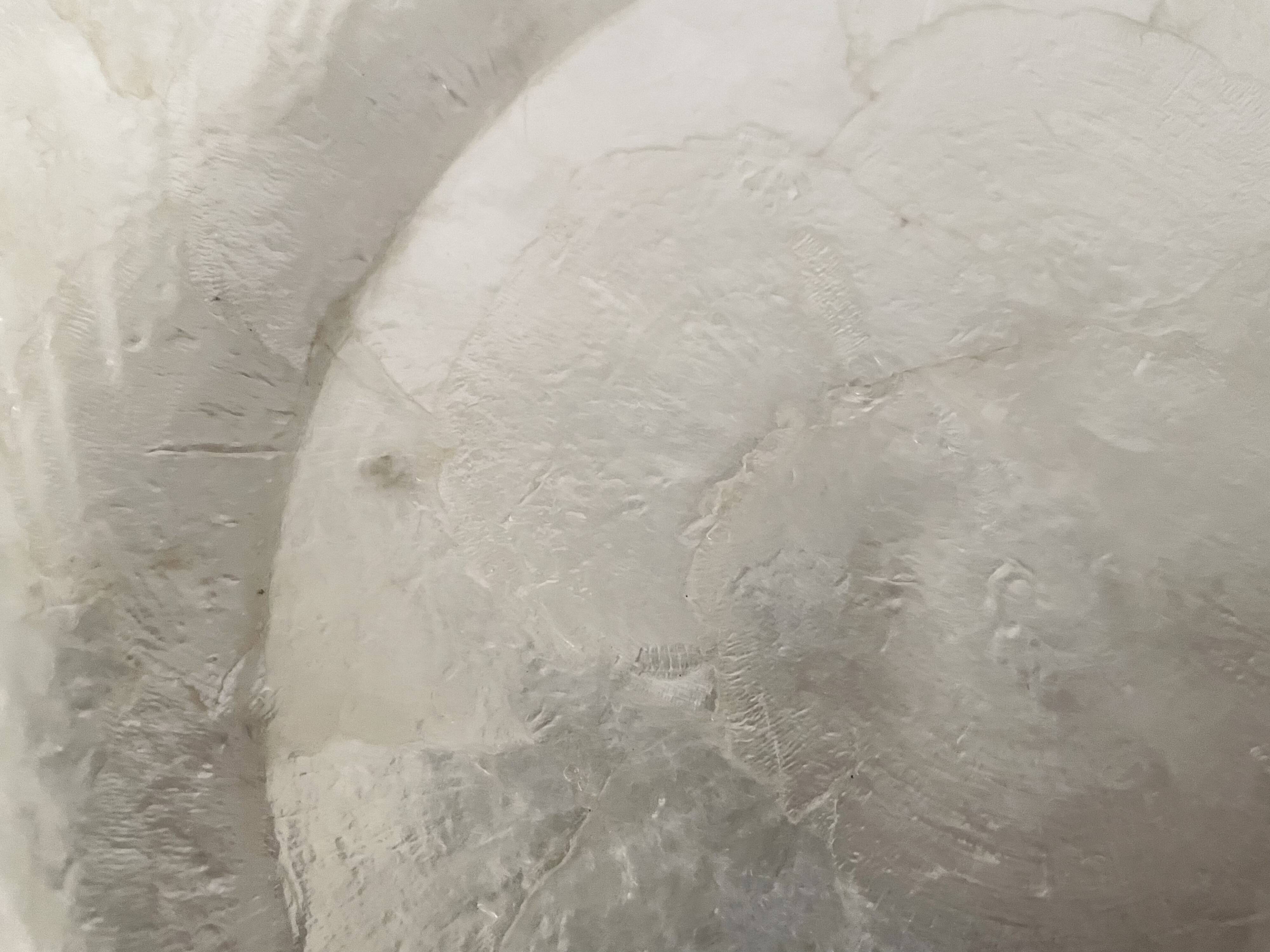 Mother-of-pearl and brass plates