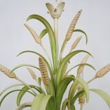 Masca vintage wheat stalk chandelier in off-white and pastel green metal.