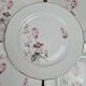 Set of 6 porcelain plates Tognana – antique rose pattern & gold rim