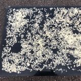 Table in resin Pierre Giraudon