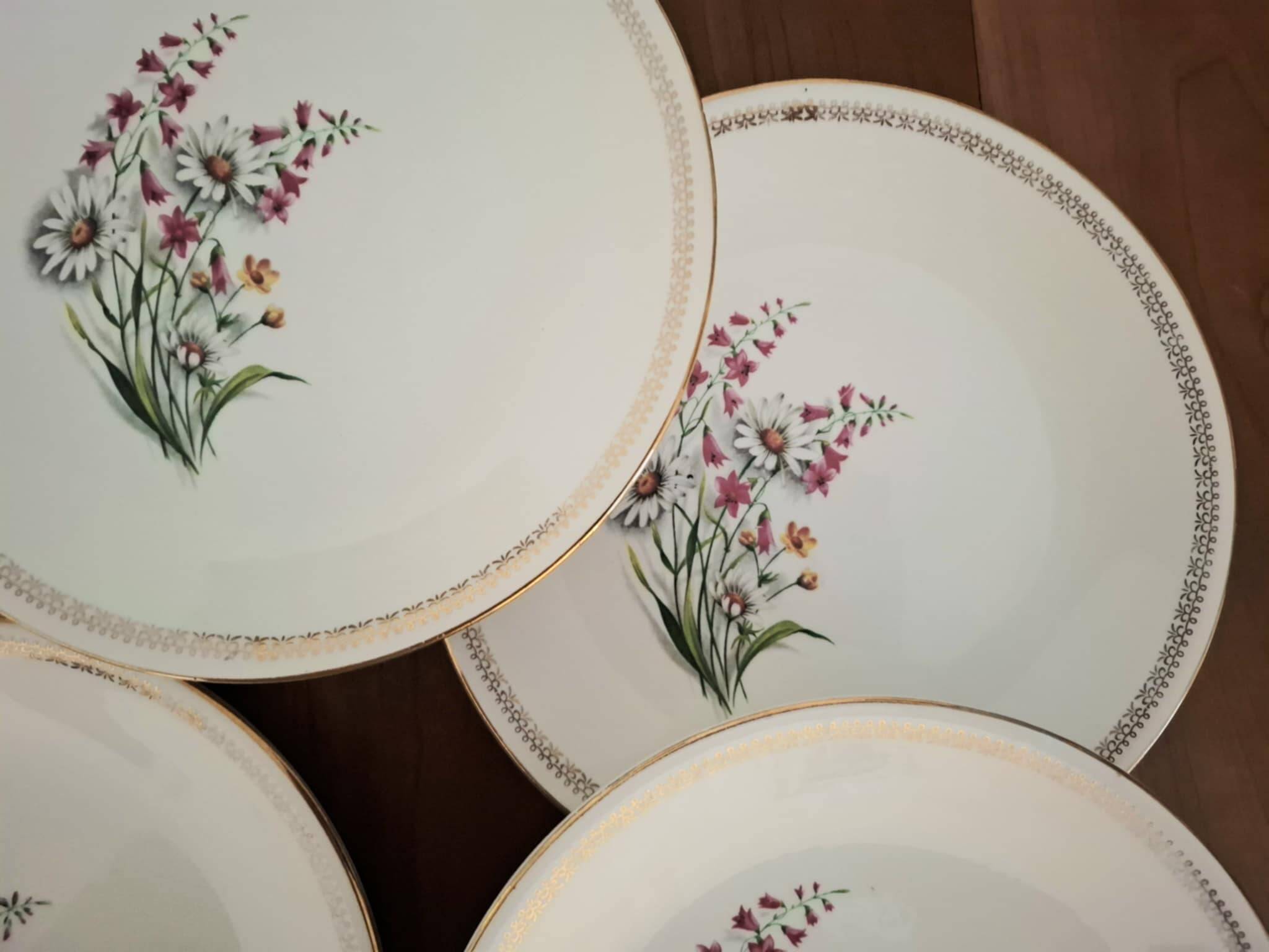 Vintage Floral Pattern Gien Earthenware Dinner Plates
