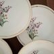 Vintage Floral Pattern Gien Earthenware Dinner Plates