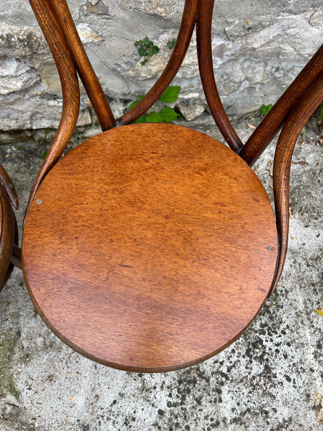 Chaises bistrot en bois Mobel Fabrik