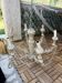 Lustre