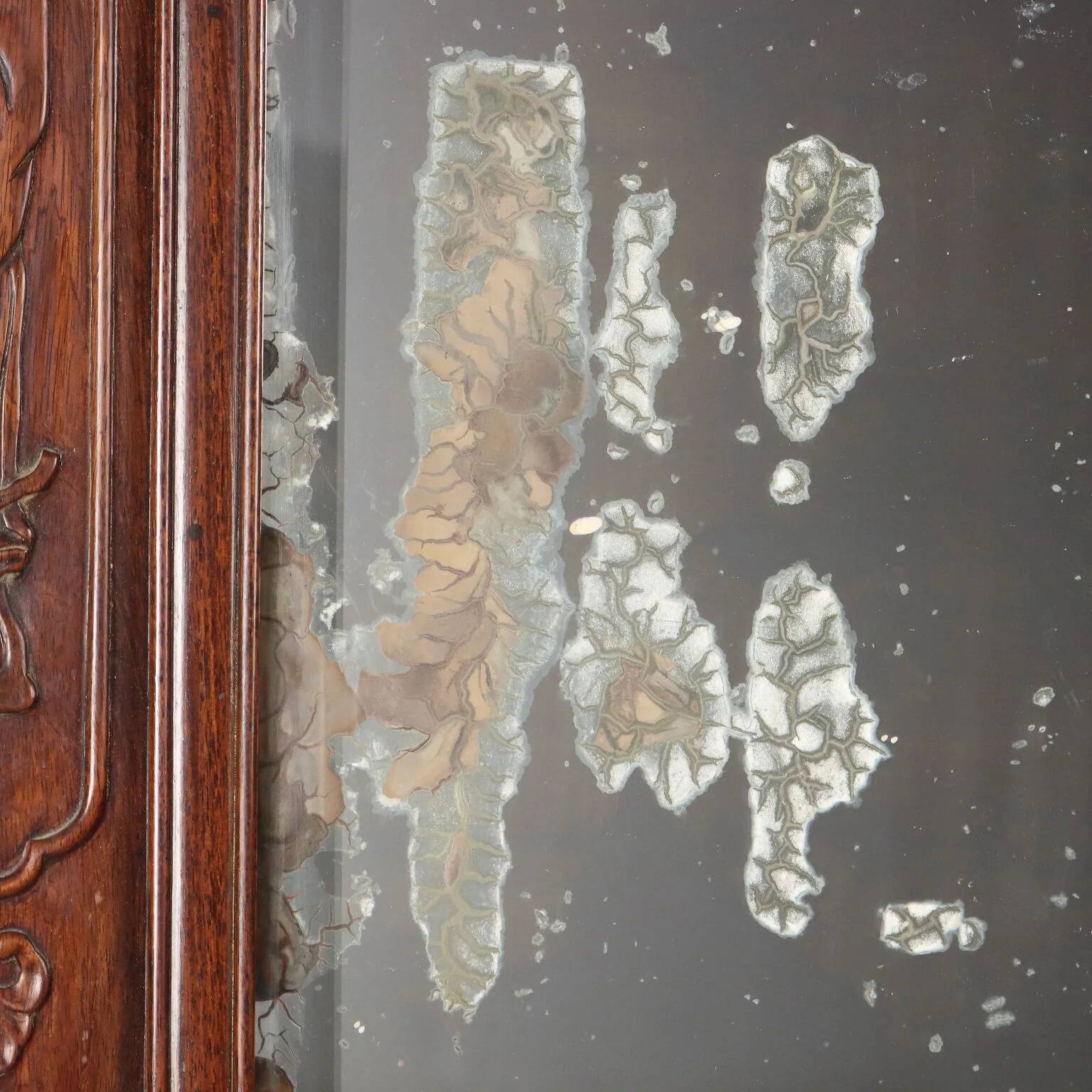 Antique mirror in exotic wood with chinoiserie carvings, 19th century.