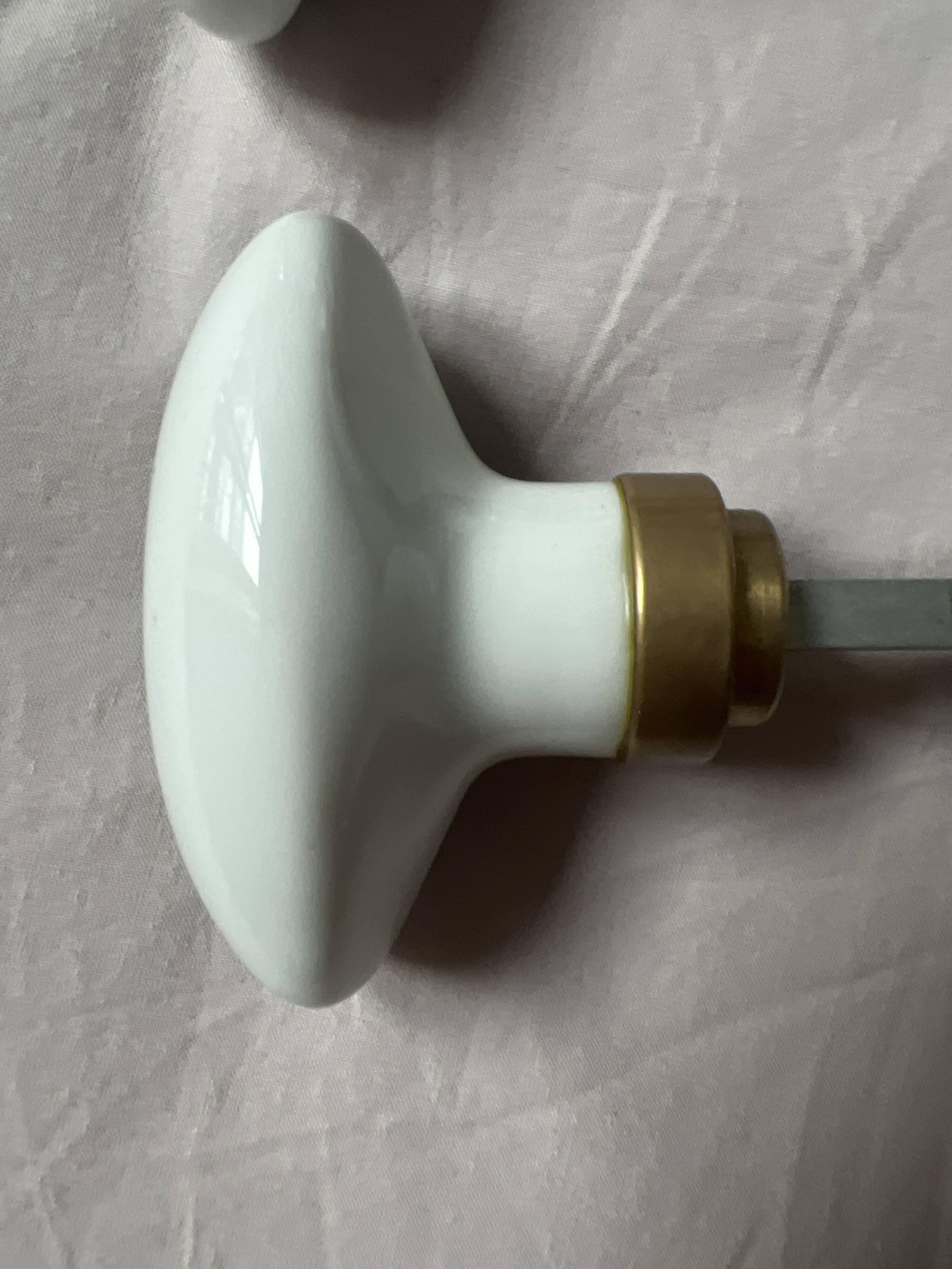 Porcelain and brass door knob