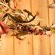 Antique iron chandelier with Art Nouveau floral decoration