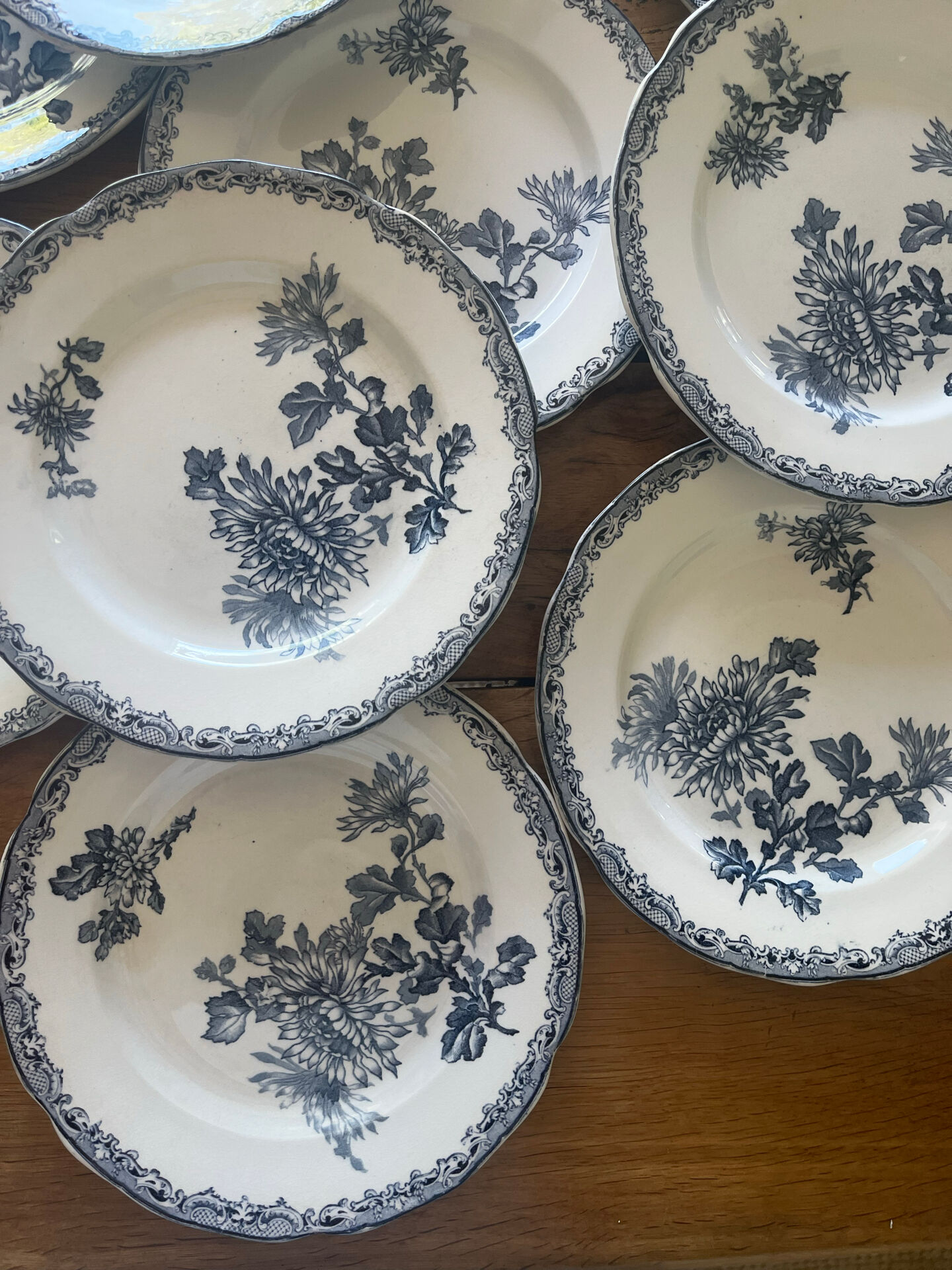 10 ironstone plates