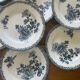 10 ironstone plates
