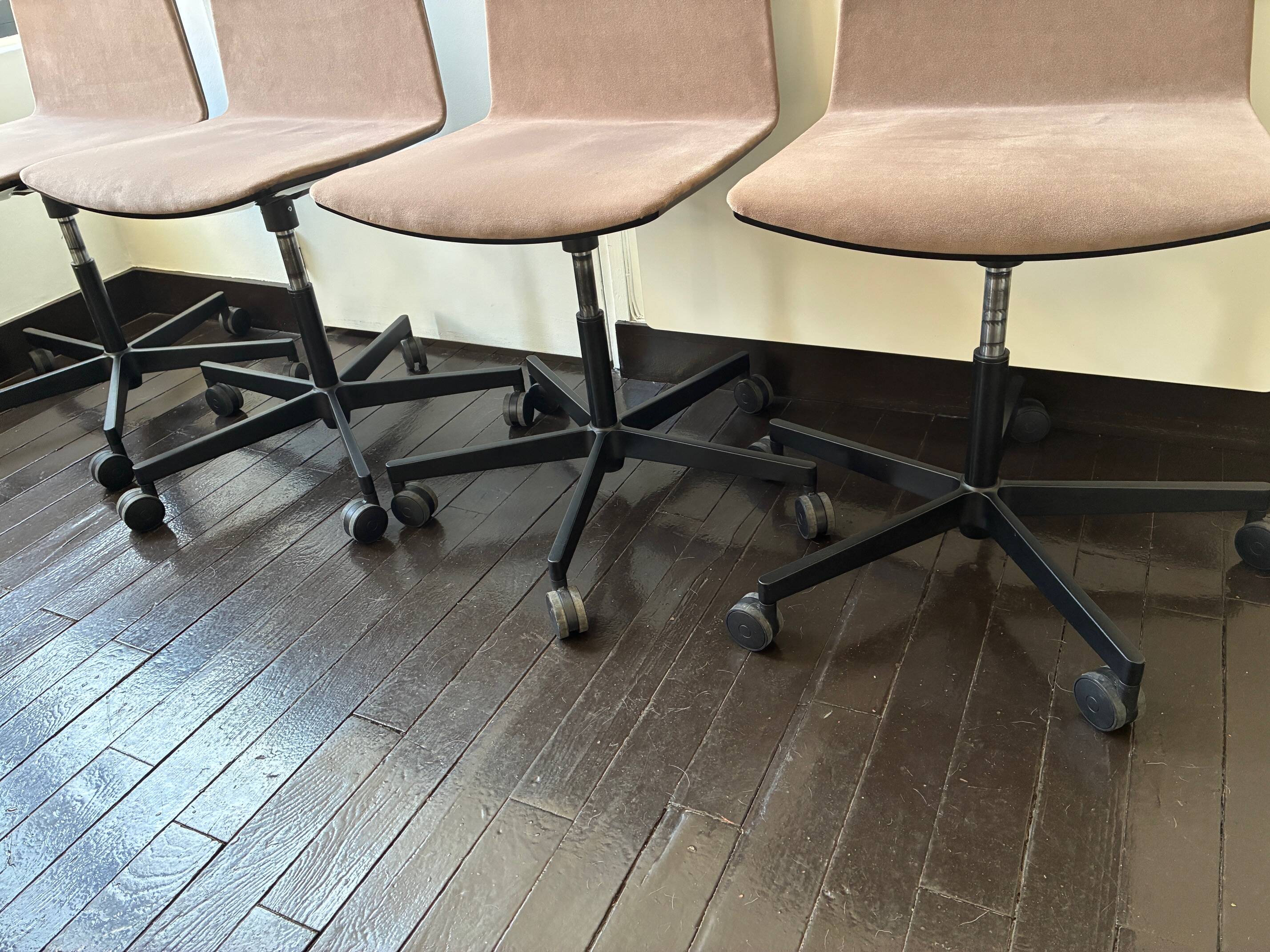 Chaises Bureau Pedrali