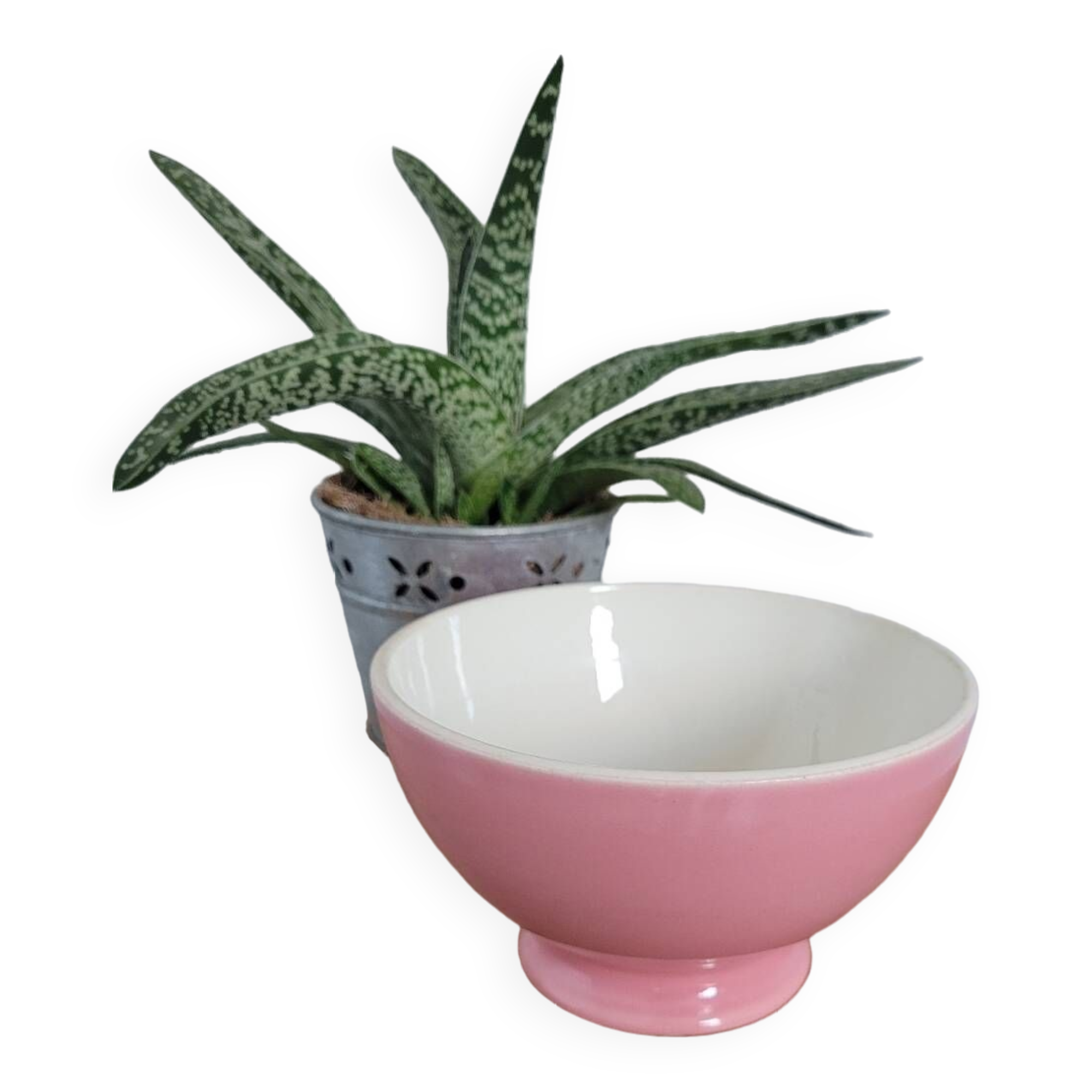 Bol porcelaine opaque rose
