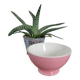 Bol porcelaine opaque rose